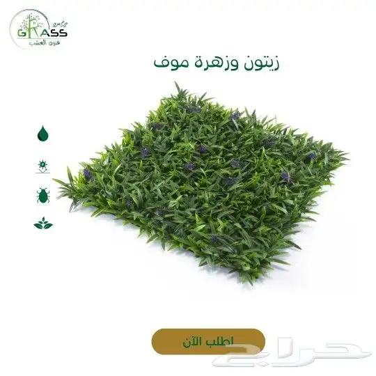 عشب جداري 7