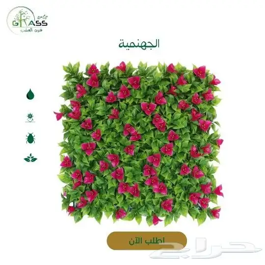 عشب جداري 6