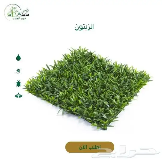 عشب جداري 3