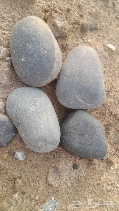 حجر مضبي مقارص للمطاعم 13