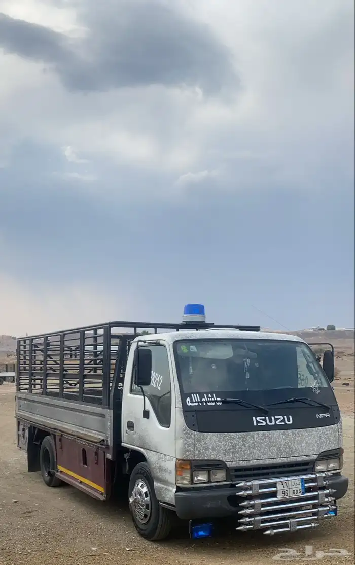 دينا توصيل المدينه المنوره . 0