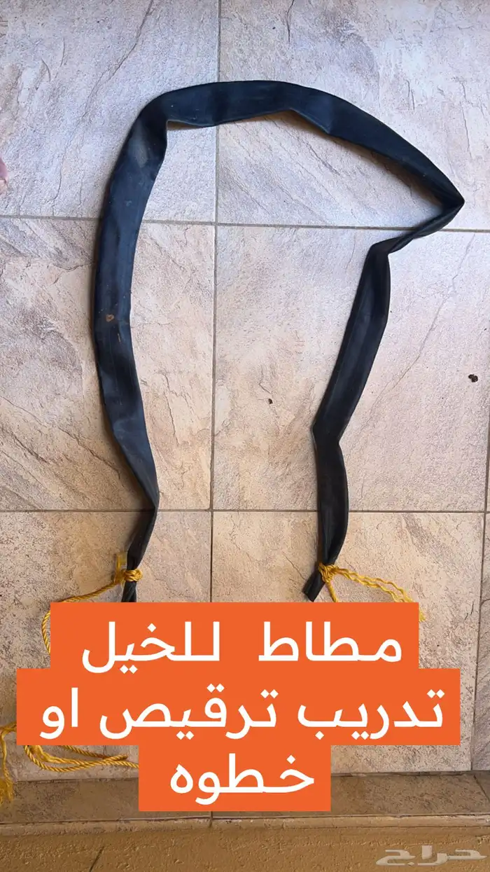 مستلزمات الخيل 0