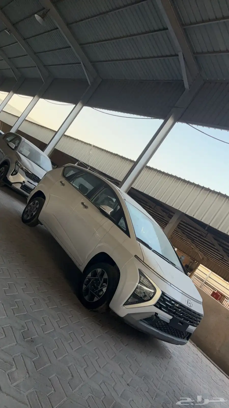 ستار جيزر 2025 0