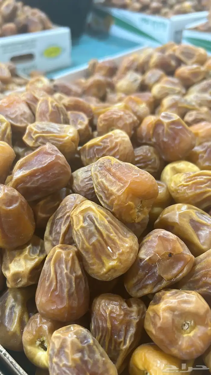 تمر سكري مفتل ملكي و جلكسي ملكي 7