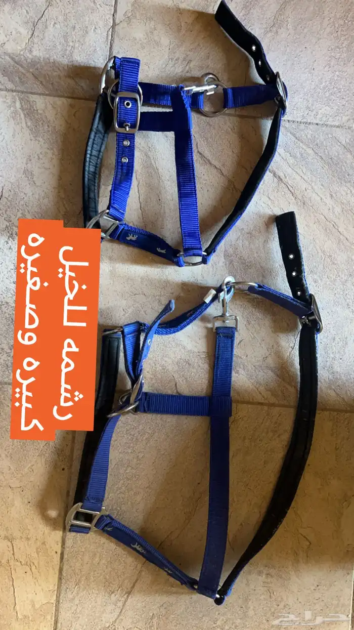 مستلزمات الخيل 3