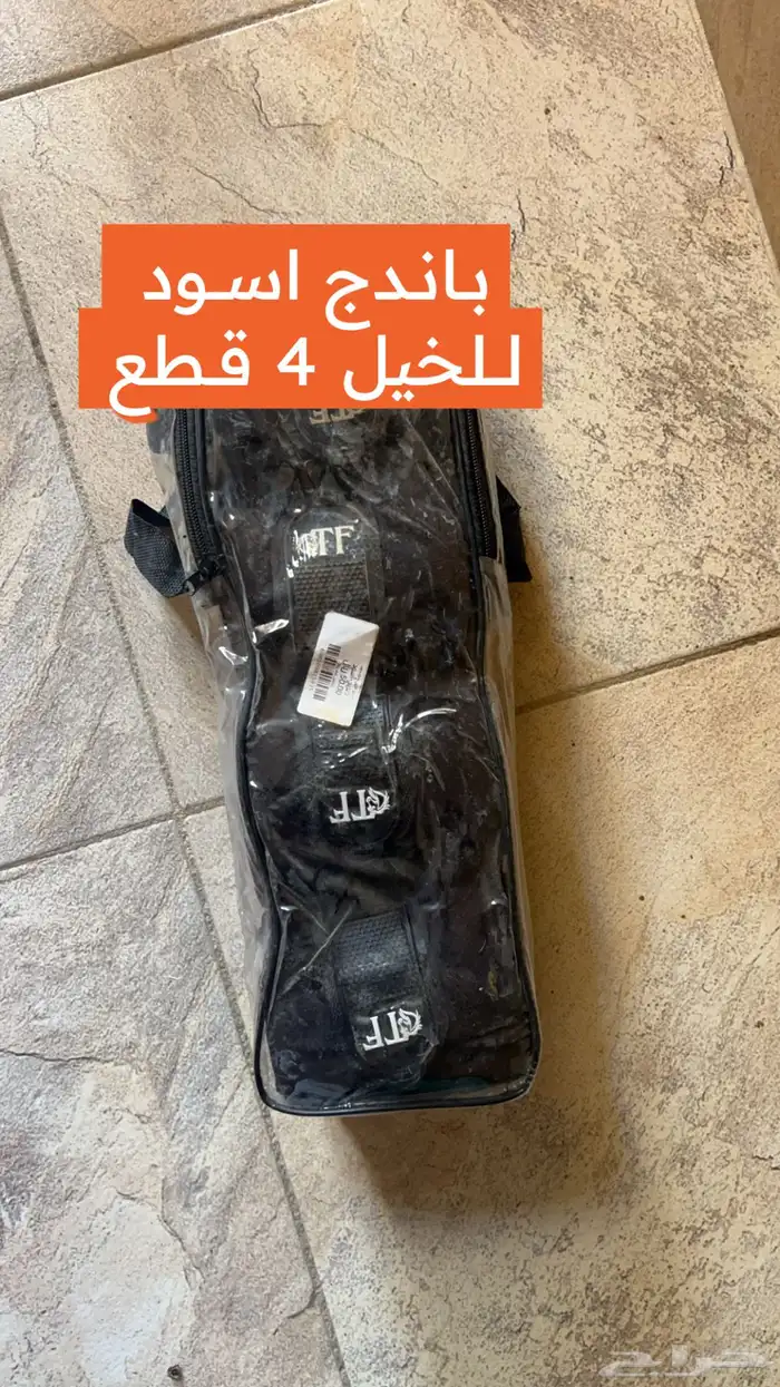 خيل 1