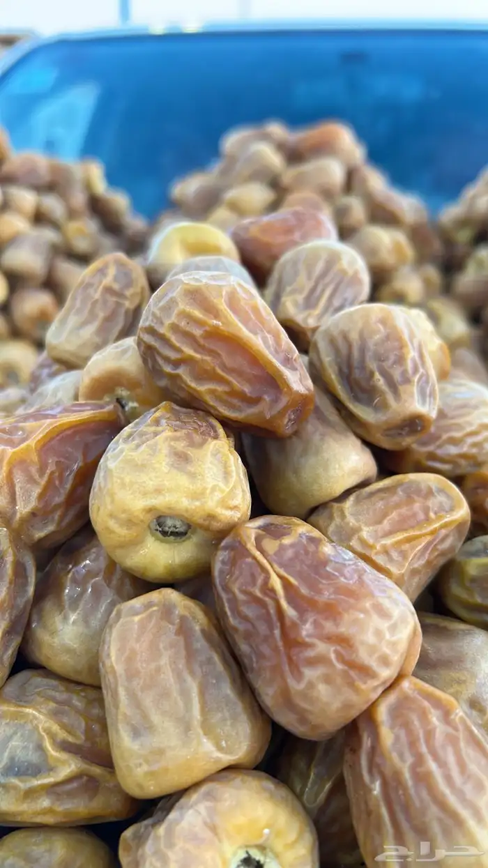 تمر سكري مفتل ملكي و جلكسي ملكي 0