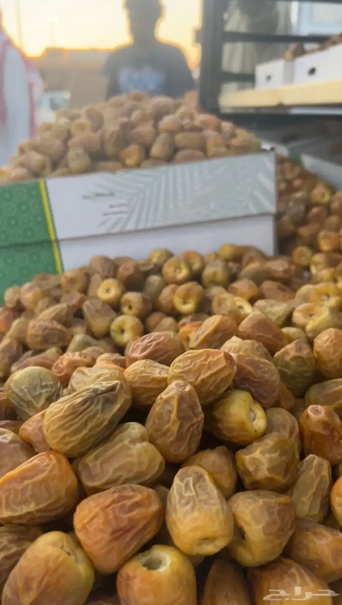 تمر سكري مفتل ملكي و جلكسي ملكي 8