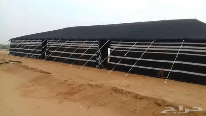 بيت شعر ابيض بيت شعر اسود بيت شعر واجهة شغاف خيام لوازم تخي 21