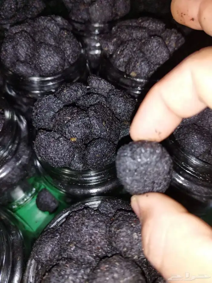 بخور دوسري 6