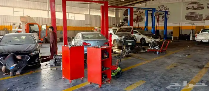 مكأن ونيت ايسوزوز دي ماكس ديزل 0