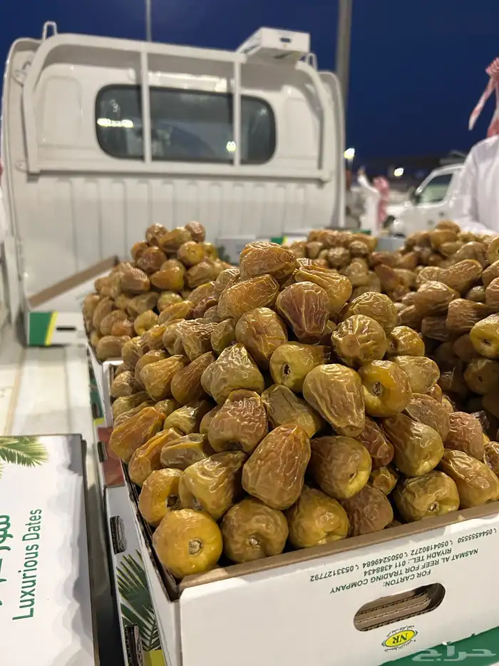 تمر سكري مفتل ملكي و جلكسي ملكي 3