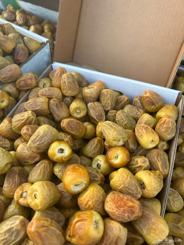 تمر سكري مفتل ملكي و جلكسي ملكي 9