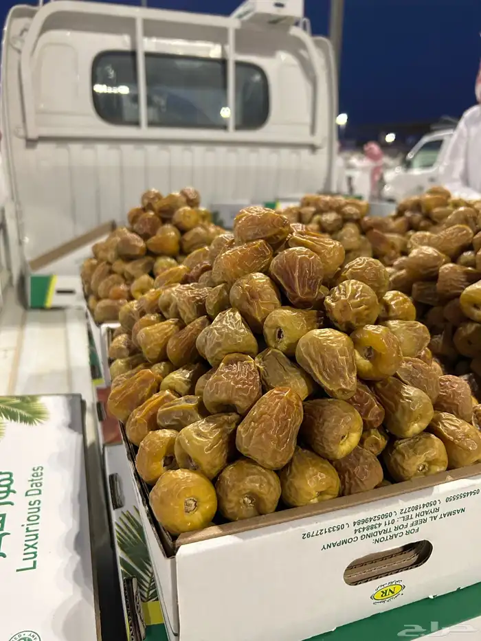 تمر سكري مفتل ملكي و جلكسي ملكي 5