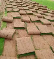 تنسيق حدائق ثيل طبيعي وتمديد شبكات الري 1