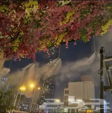 ضباب رذاذ 0