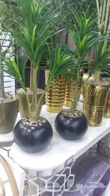 تنسيق حدائق ثيل طبيعي وتمديد شبكات الري 4