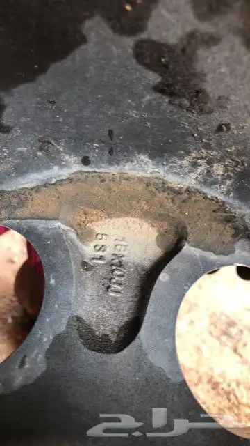 جنوط جتي للبيع 1