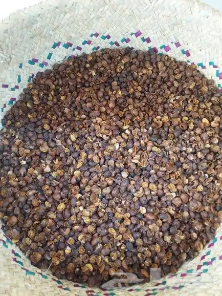 بن شدوي 1