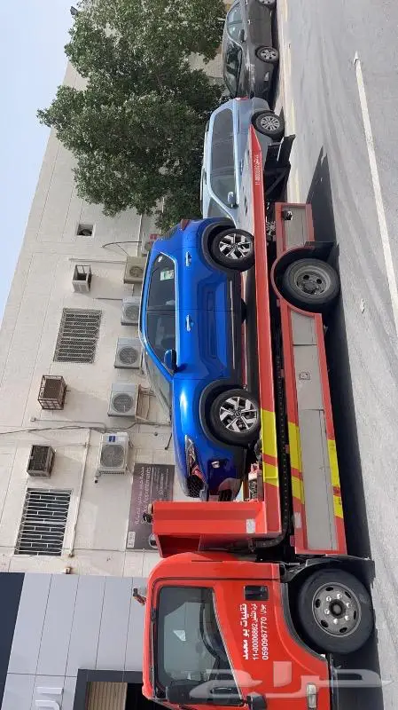 سطحه الاحساء صغيرة وكبيرة 0