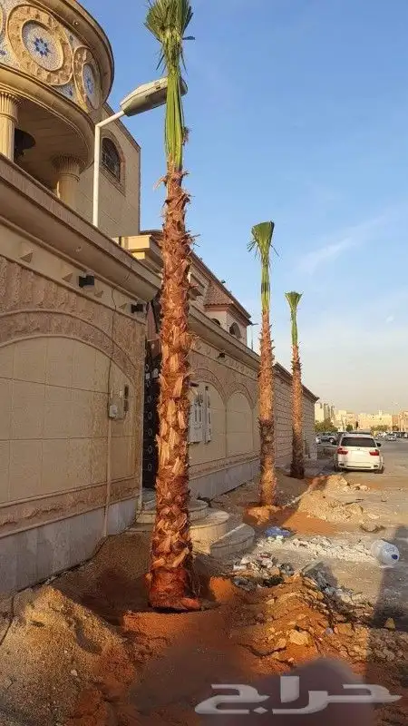تنسيق حدائق غرفةجلوس 2