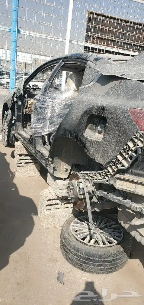 كدنزاء 2020 0