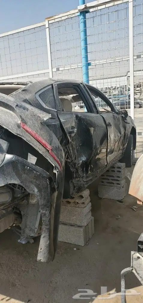 كدنزاء 2020 1