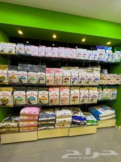 جميع انواع الدراي فود و الويت فود و اكل العصافير والتراب 3