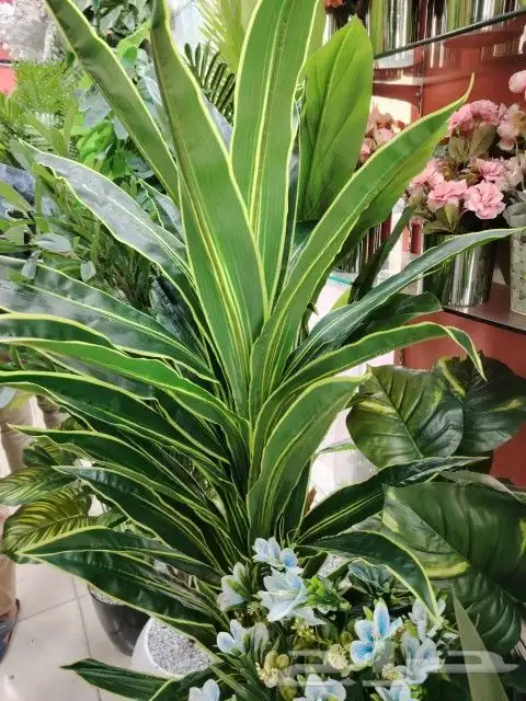 تنسيق حدائق ثيل طبيعي وتمديد شبكات الري 3