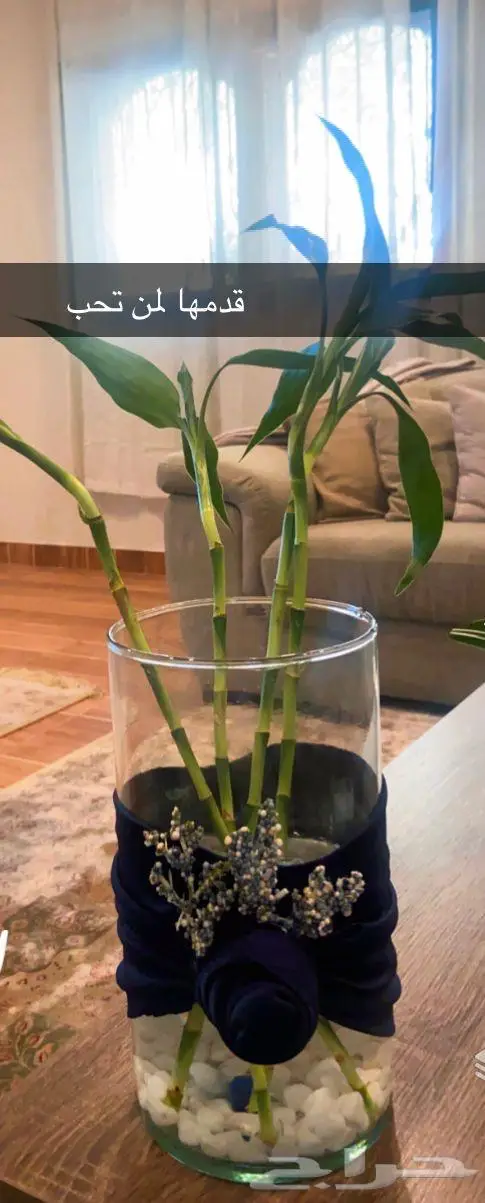 المنطقة الشرقية 7