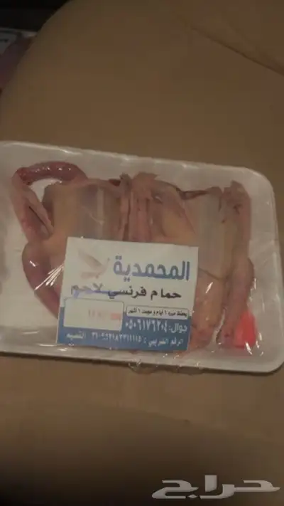 زغاليل فرنسي ذبح يومي طازج يتغذا على افضل انواع الحبوب 8