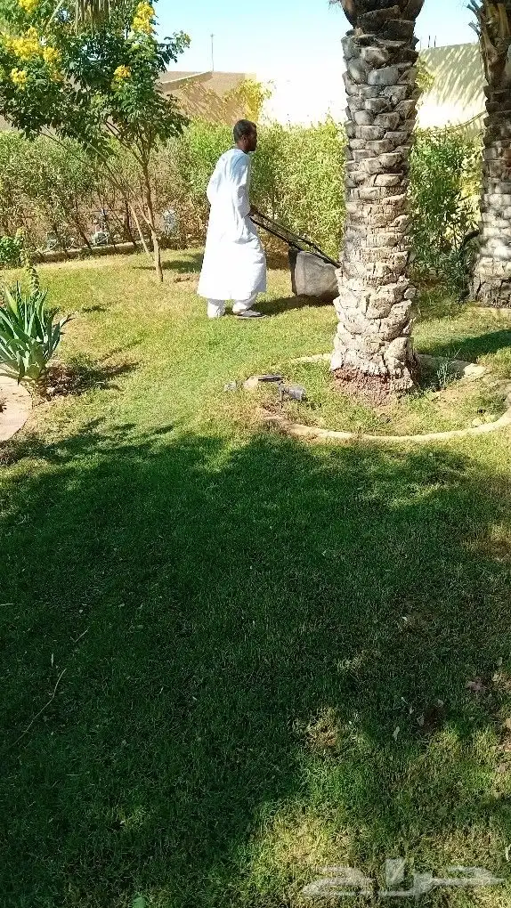 مشتل ومزارع لزراعه الشتلات وبيع الزهوروقص الشجر 3