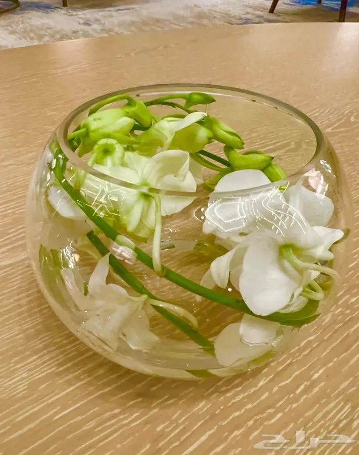 المنطقة الشرقية 19