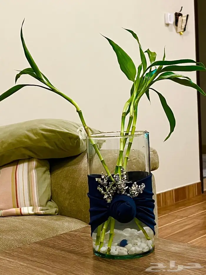 المنطقة الشرقية 9