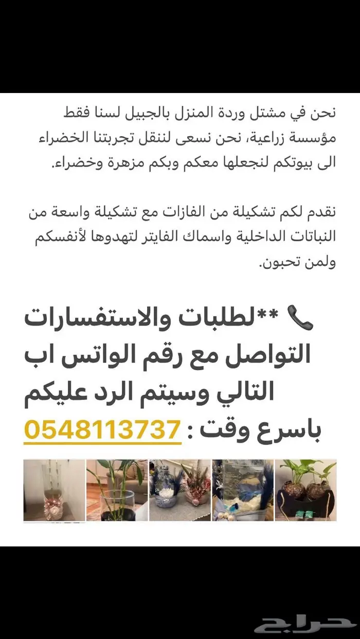 المنطقة الشرقية 0