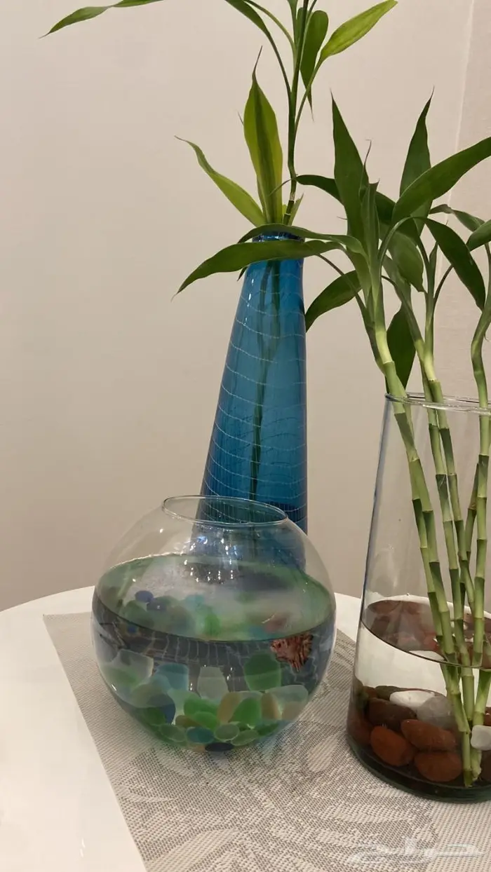 المنطقة الشرقية 3