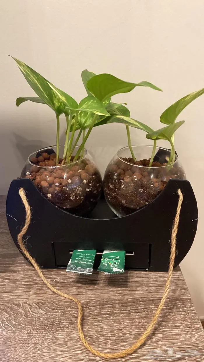 المنطقة الشرقية 4