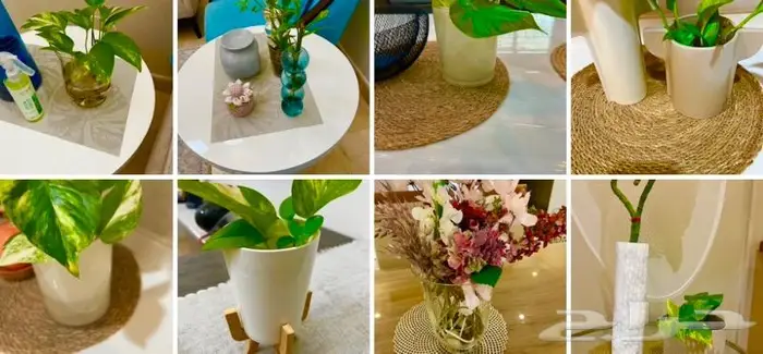 المنطقة الشرقية 20