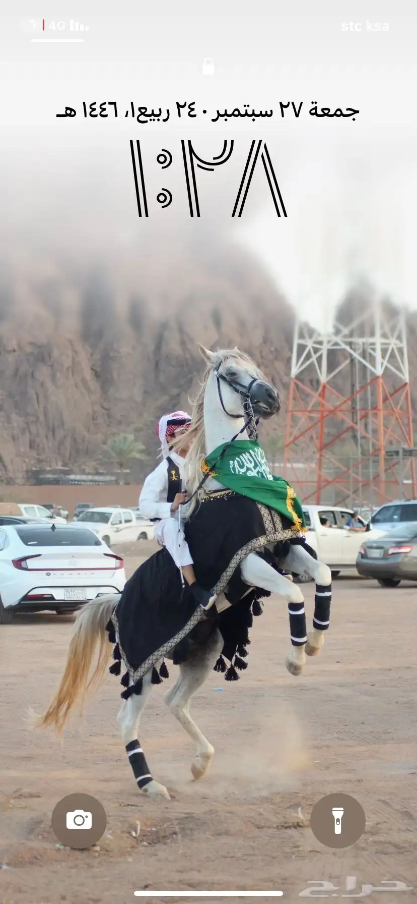حصان شعبيي شيخ 4