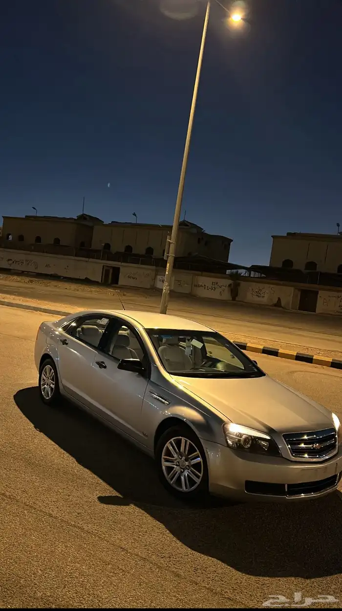 كابرس بودي بلد 4
