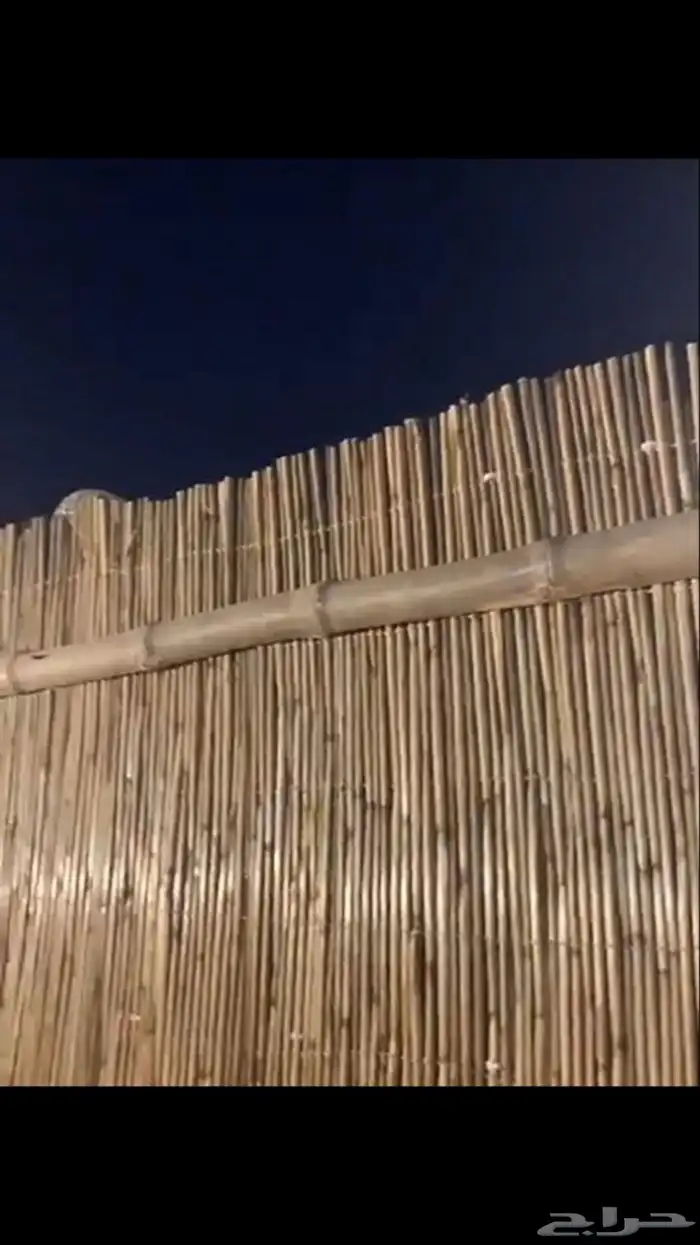 بامبو- مظلات خيزران حسير 2