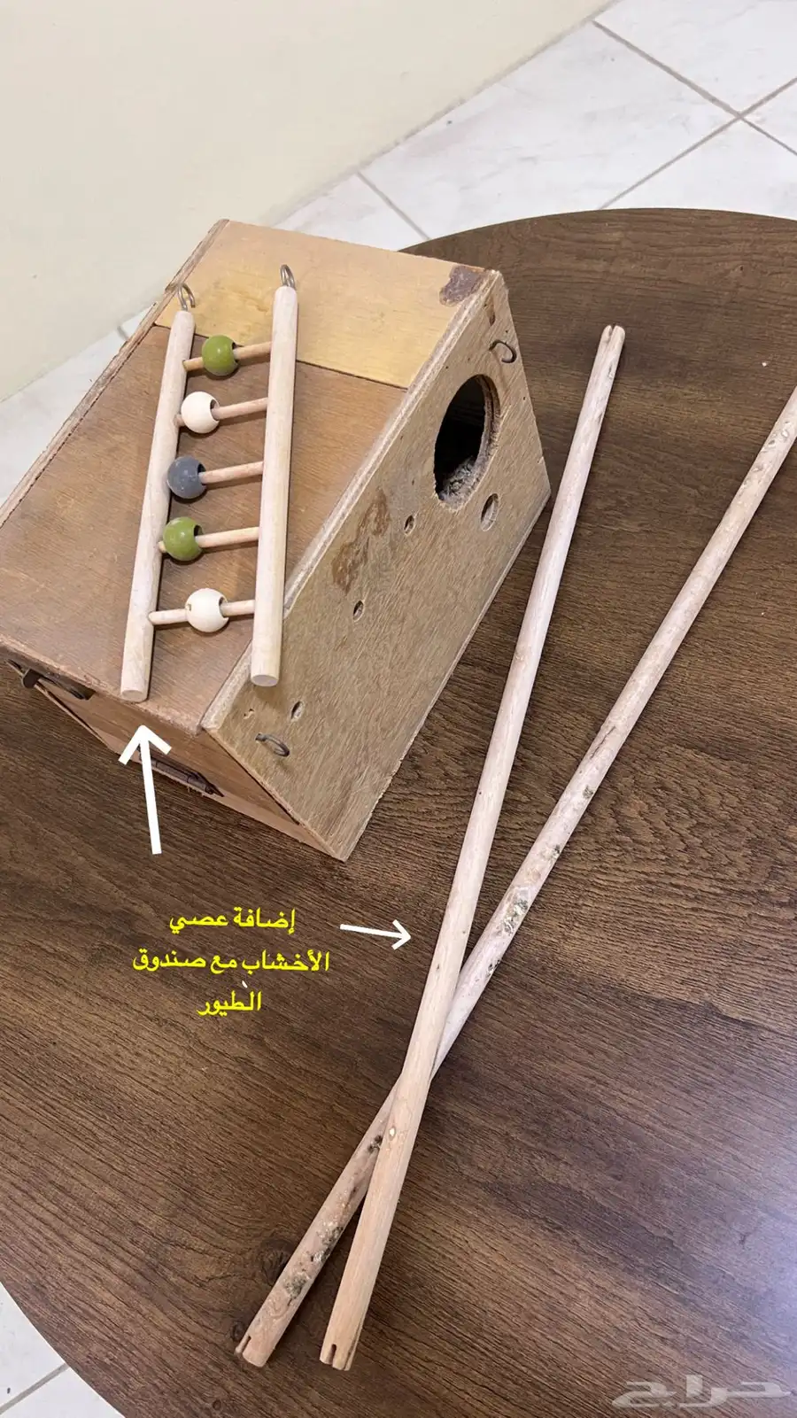 عش طيور 3
