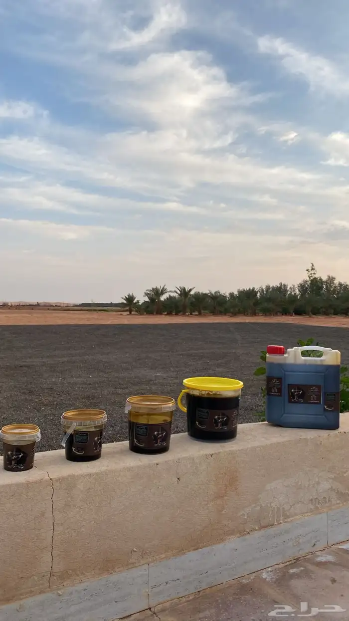 دبس تمور الجوف عسل الجوف حلوه الجوف 1