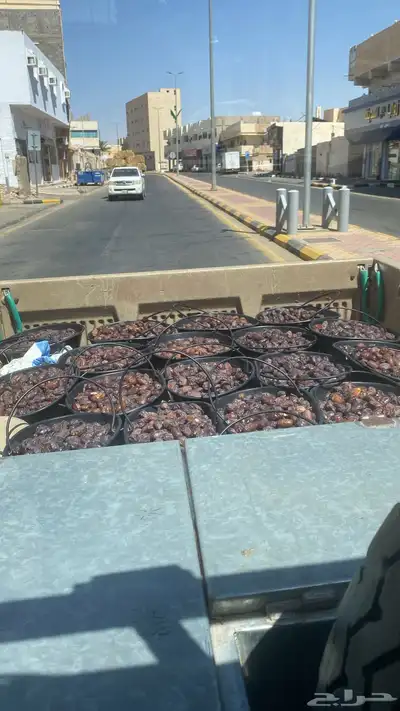 دبس تمور الجوف عسل الجوف حلوه الجوف 4