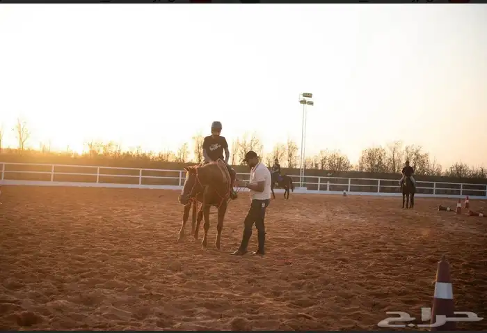رحلات خارجيه بالخيل 18