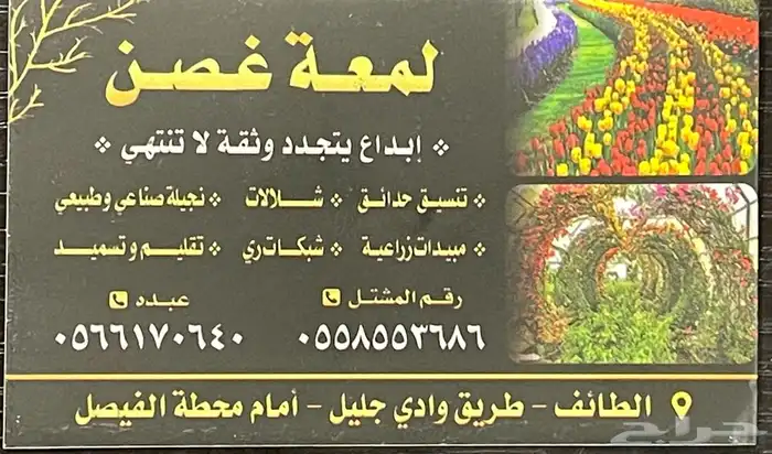 شتلات وزهور لدى مشتل لمعة غصن طريق وادي جليل 38