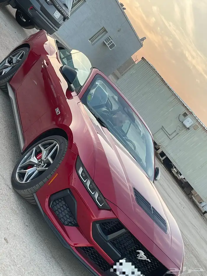 موستنج GT 2024 اصفار للايجار 1