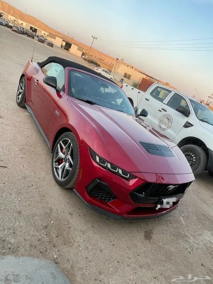 موستنج GT 2024 اصفار للايجار 4