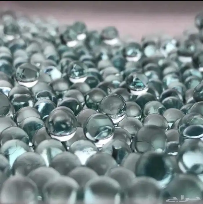 نبيطه نبيلة مقلاع صيد 8