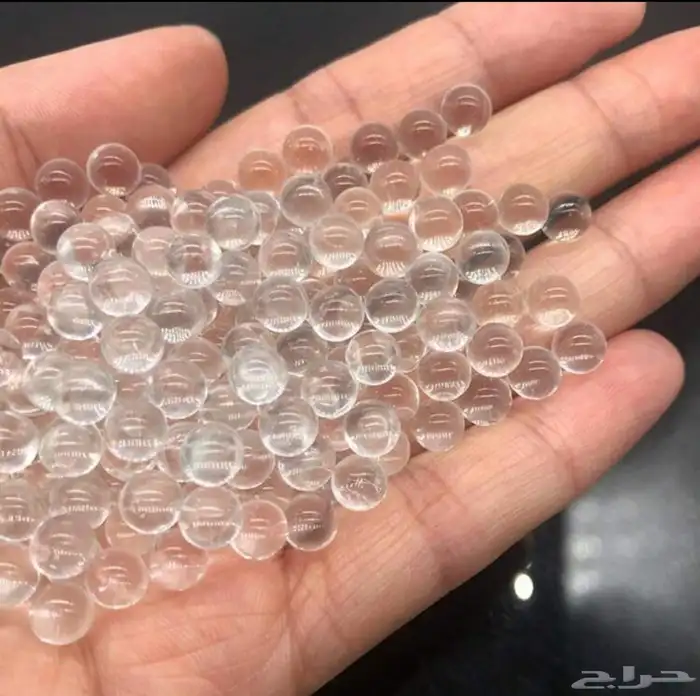 نبيطه نبيلة مقلاع صيد 9